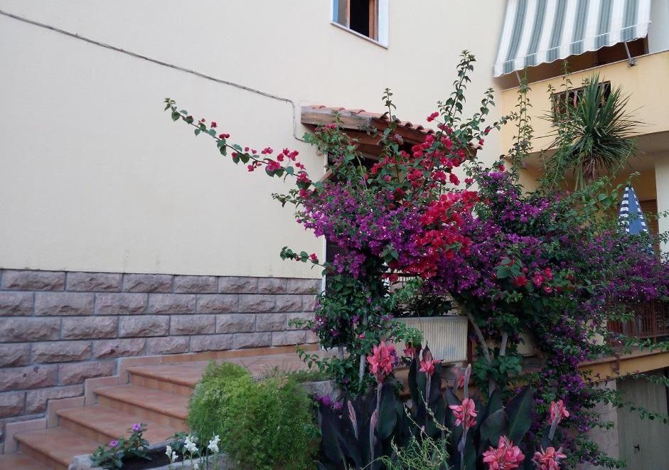 Bed and Breakfast Al 32 Y 3 Alghero Exterior foto